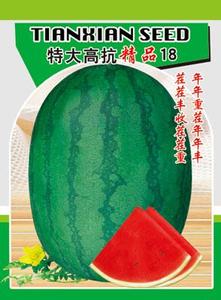 特大高抗精品18